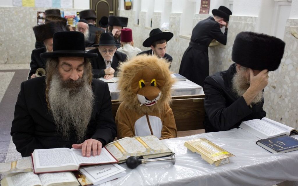 Des Juifs ultra-orthodoxes et un enfant déguisé lisent le livre d'Esther à la synagogue de  Bnei Brak le 4 mars 2015 (Crédit : AFP PHOTO / MENAHEM KAHANA)