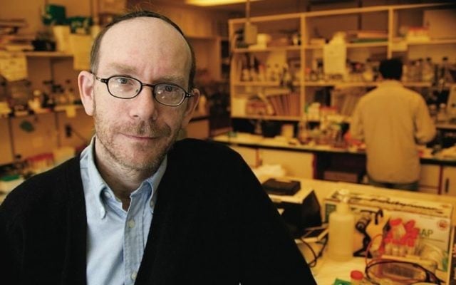 Le chercheur Moshe Szyf à son laboratoire de l'Université McGill, à Montréal. (Crédit : McGill University/JTA) Le chercheur Moshe Szyf à son laboratoire de l'Université McGill, à Montréal. (Crédit : McGill University/JTA)