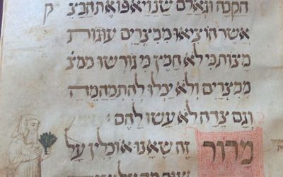 Une page de la Haggadah Wolff du 14ème siècle , à la Bibliothèque nationale, montrant un Juif médiéval tenant des herbes amères (Crédit photo: Ilan Ben Zion / Times of Israel)