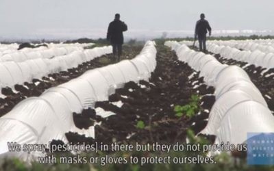 Une ferme dans une implantation israélienne, en Cisjordanie (Crédit : Capture d'écran YouTube)
