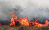 Illustration : un incendie en Israël. (Crédit :Talucho / Flash90)