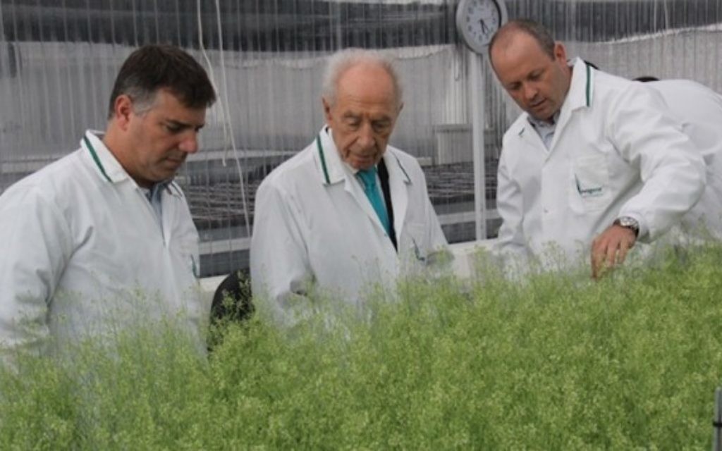 L'ancien président Shimon Peres examine des plantes expérimentales produites par la firme d'agritech israélienne Evogene, lors d'une visite au siège de la société  le 15 juillet 2013. (Photo: autorisation)