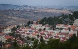 L'implantation d'Efrat ,en Cisjordanie, le 17 décembre 2014. (Crédit :Miriam Alster/Flash90)