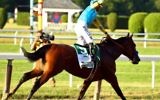 Victor Espinoza, célèbre le record d'American Pharoah , après avoir remporté la147e  course des Belmont Stakes le 6 Juin 2015.  (Al Bello / Getty Images / AFP)