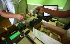 Achat de marijuana médicinale à Tel-Aviv (Crédit : Abir Sultan / Flash90)