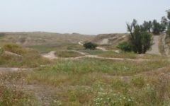 Le site de l'ancienne cité royale de Suse, en Iran (Crédit : Wikimedia/ Pentocelo/public domain)