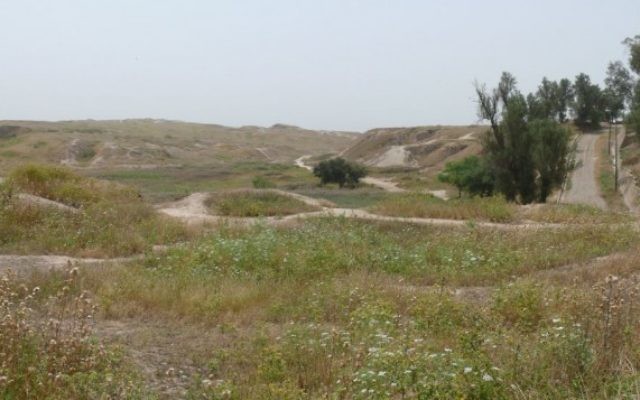 Le site de l'ancienne cité royale de Suse, en Iran (Crédit : Wikimedia/ Pentocelo/public domain)