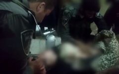 Le soldat israélien soignant la petite fille palestinienne à Hébron (Crédit : Tsahal/Facebook)