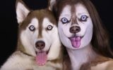 L'artiste maquilleuse Ilana Kolihanov et son chien Ivy (Capture Youtube)