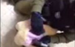 Des soldats découvrent des munitions cachées dans un ours en peluche lors d'une perquisition en Cisjordanie le 26 août 2015 (Capture d'écran YouTube / Tsahal)