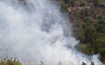 Le feu fait rage entre Tzur Hadassah et l'implantation de Beitar Illit en Cisjordanie le 2 août 2015. (Crédit photo: Nati Shohat / Flash90)