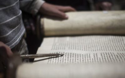 Photo llustrative d'un jeune homme lisant dans un rouleau de la Torah (Crédit: Yonatan Sindel / Flash90)