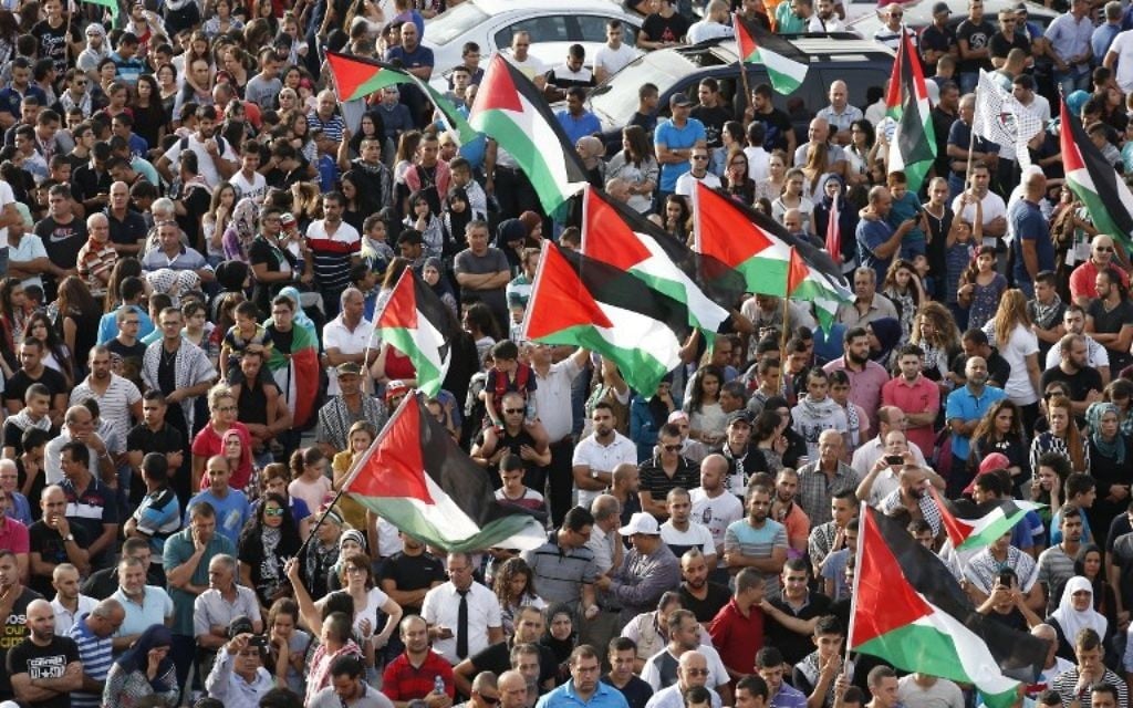 Des Arabes israéliens participent à une grande manifestation dans le cadre d'une grève générale organisée en soutien aux Palestiniens qui ont appelé à une "journée de la colère" le 13 octobre 2015 dans le village israélo-arabe de Sakhnin. (Crédit : AFP PHOTO / JACK GUEZ)