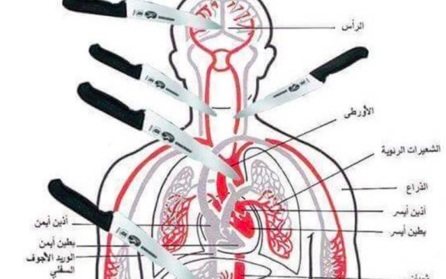 Un tableau anatomique publié sur Facebook montrant les parties du corps à atteindre en poignardant la victime (Photo: Autorisation MEMRI) Un tableau anatomique publié sur Facebook montrant les parties du corps à atteindre en poignardant la victime (Photo: Autorisation MEMRI)