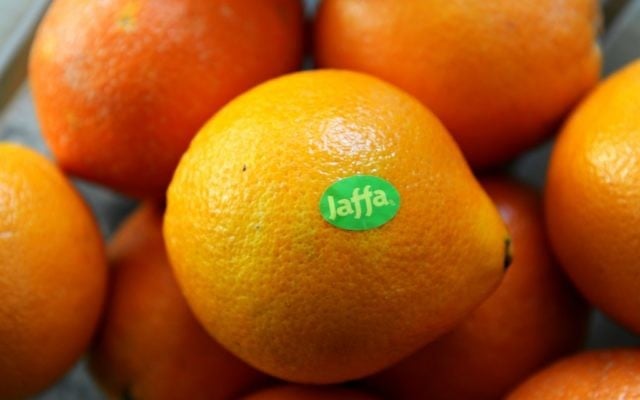 Des oranges de Jaffa. (Crédit : GPO)