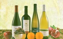 Vins israéliens. Illustration. (Crédit : IMP média)