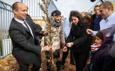 Le ministre de l'Education Naftali Bennett (à gauche) et la ministre de la Justice Ayelet Shaked (à droite) plantent un arbre près d'une école de l'implantation juive de Tekoa, le 24 janvier 2016. (Crédit : Gershon Elinson/Flash90)