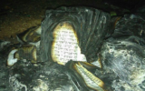 Restes de livres de Torah incendiés dans l'avant-poste de Givat Sorek en Cisjordanie le 6 février 2016 (Autorisation : Département de la sécurité de Karmei Tzur)