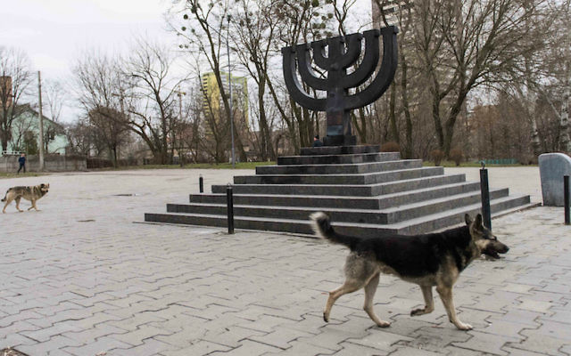Des chiens errants près du monument de Babi Yar, le 14 mars 2016, à Kiev, où des nazis et des collaborateurs locaux ont assassinés 30 000 juifs en 1941. (Crédit : Cnaan Liphshiz/JTA) Des chiens errants près du monument de Babi Yar, le 14 mars 2016, à Kiev, où des nazis et des collaborateurs locaux ont assassinés 30 000 juifs en 1941. (Crédit : Cnaan Liphshiz/JTA)