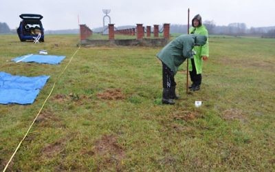 Les chercheurs à la recherche de restes humains à Wasosz, le site d'un massacre de villageois juifs en 1941 (Crédit : Laboratoire archéologique Podlaska)