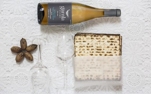 Vin et matza (Crédit : autorisation)