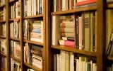 Etagères remplies de livres. Illustration. (Crédit : CC BY 2.0 Stewart Butterfield/Wikipedia)