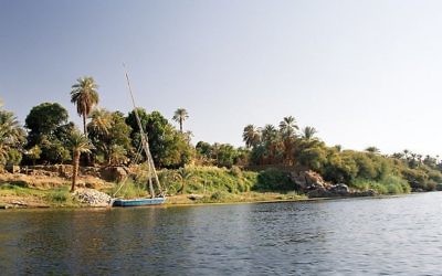 Rive occidentale de l'île d'Eléphantine. (Crédit : Wikimedia commons/Przemyslaw "Blueshade" Idzkiewicz CC BY-SA)