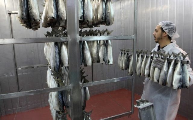 Poissons préparés dans une usine de Ramlé. Illustration. (Crédit : Yaakov Naumi/Flash90)