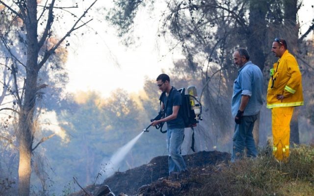 Les pompiers israéliens s'affairent à éteindre un feu de forêt, dans la forêt de Biriya, près de Safed, au nord d'Israël, le 25 avril 2016. (Crédit photo : Basel Awidat/Flash90) Les pompiers israéliens s'affairent à éteindre un feu de forêt, dans la forêt de Biriya, près de Safed, au nord d'Israël, le 25 avril 2016. (Crédit photo : Basel Awidat/Flash90)