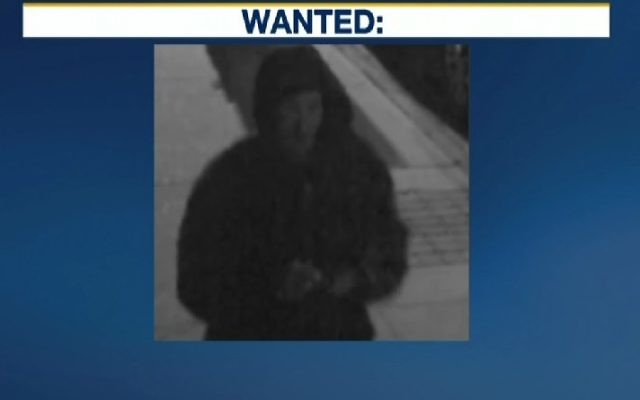 Capture d'écran de News 12 Brooklyn d'une personne suspectée d'avoir réalisée une série de tags de swastika dans Brooklyn, avril 2016 (Crédit photo : Capture d'écran/News12)