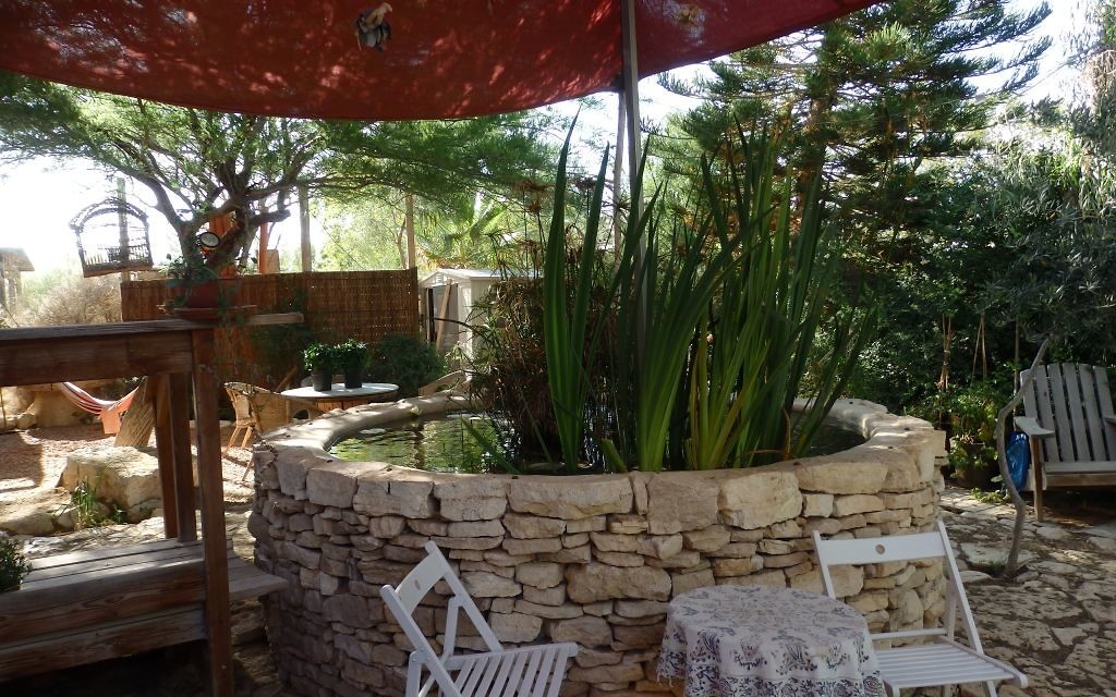 Le jardin de la maison d'hôtes Krivine, à Midreshet Ben Gourion, le 27 mai 2016. (Crédits : Héloïse Fayet / Times of Israel)
