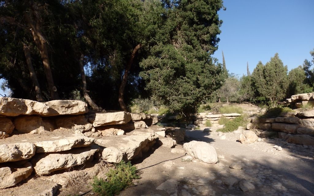 Le jardin abritant les tombes de David et Paula Ben Gourion, à Midreshet Ben Gourion, le 27 mai 2016. (Crédits : Héloïse Fayet / Times of Israel)