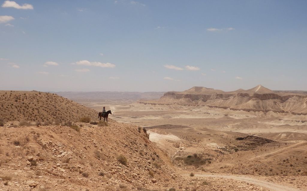 Le guide touristique Arthur du Mosch sur son cheval lors d'une randonnée équestre dans le désert du Néguev, le 28 mai 2016. (Crédits : Héloïse Fayet / Times of Israel)