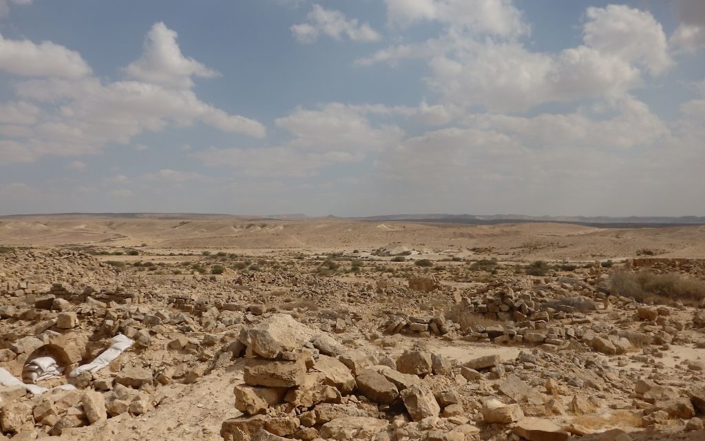 Les ruines de la ville nabatéenne de Shivta, surplombant le désert du Néguev, le 28 mai 2016. (Crédits : Héloïse Fayet / Times of Israel)