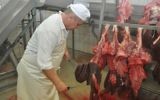 Abattage rituel à l'abattoir de Zaklady Miesne Mokobody près de Varsovie, en 2011. Illustration. (Crédit : Autorisation de Zaklady Miesne Mokobody via JTA)
