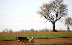 Un fermier amish laboure son champ avec ses chevaux, près de Wakefield, en Pennsylvanie. Illustration. (Crédit : Nati Shohat /Flash90)
