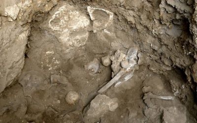 Les ossements d'une femme préhistorique découverts sur un site funéraire dans la grotte d'Hilazon, au nord d'Israël. (Crédits : Naftali Hilger)