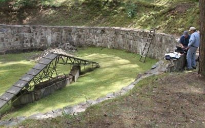 Les chercheurs se préparent à balayer la fosse commune dans la forêt de Ponar, en dehors de Vilnius, en Lituanie. (Crédit : Esdras Wolfinger, NOVA)