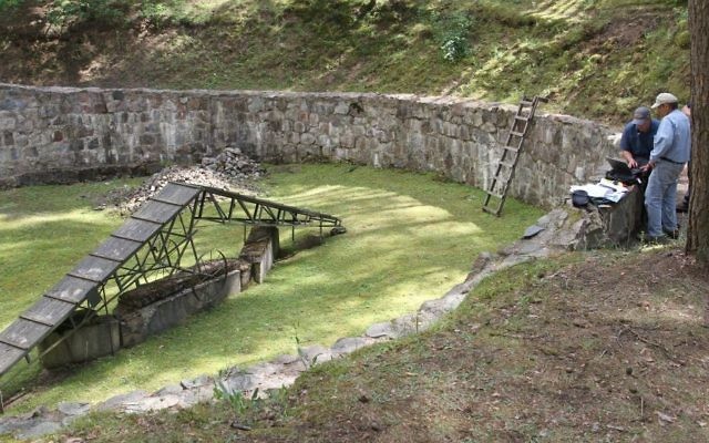 Les chercheurs se préparent à balayer la fosse commune dans la forêt de Ponar, en dehors de Vilnius, en Lituanie. (Crédit : Esdras Wolfinger, NOVA)