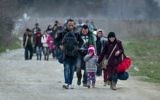 Illustration : migrants et réfugiés syriens et irakiens traversent la frontière gréco-macédonienne, près de Gevgelija, le 23 février 2016. (Crédit : AFP/Robert Atanasovski)