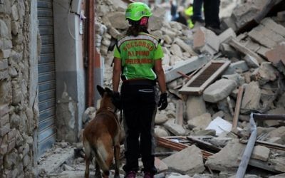 Un sauveteur cherche des victimes parmi les ruines d'une maison après un fort séisme à Amatrice, dans le centre de l'Italie, le 24 août 216. (Crédit : AFP/Filippo Monteforte)