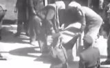 Extrait de la vidéo montrant l'espion israélien Eli Cohen placé dans un cercueil après son exécution par pendaison à Damas, en Syrie, le 18 mai 1965. (Crédit : capture d'écran Deuxième chaîne)