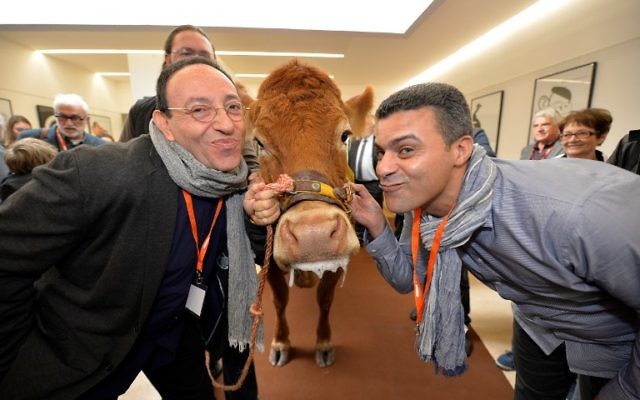 Le dessinateur belge et israélien Michel Kichka (à gauche) et le dessinateur marocain Khalid Gueddar posent avec Justine, une vache du Limousin, après avoir reçu le Prix de l'humour vache au 35e Salon de la caricature, du dessin de presse et d'humour à Saint-Just Le Martel, dans le Limousin, le 8 octobre 2016. (Crédit : Pascal Lachenaud/AFP) Le dessinateur belge et israélien Michel Kichka (à gauche) et le dessinateur marocain Khalid Gueddar posent avec Justine, une vache du Limousin, après avoir reçu le Prix de l'humour vache au 35e Salon de la caricature, du dessin de presse et d'humour à Saint-Just Le Martel, dans le Limousin, le 8 octobre 2016. (Crédit : Pascal Lachenaud/AFP)