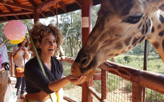 Juste après que Betty la Girafe a mangé mon loulav, j'étais choquée pendant qu'elle finissait le reste des bonbons pour girafe au Centre des girafes de Nairobi, au Kenya, le 16 octobre 2016. (Crédit : Gail DeGeorge/Global Sisters Report)