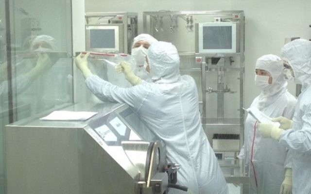 Des employés de Pluristem travaillent sur des placentas pour développer les produits de thérapie cellulaire de la société. (Crédit : autorisation)
