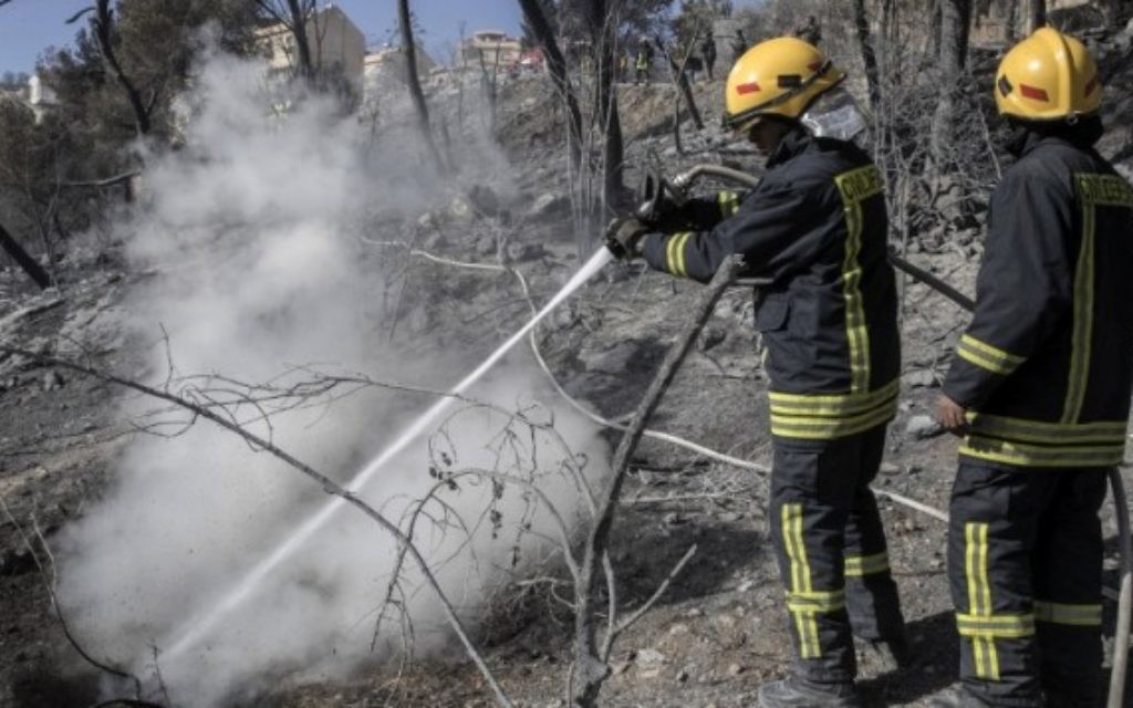 Des pompiers israéliens éteignent un incendie dans la ville du nord de Haïfa, le 24 novembre 2016. (Crédit : AFP/Jack Guez)