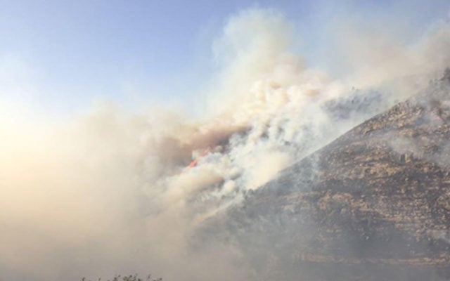Des incendies autour de Maale HaHamisha et Nataf, le 25 novembre 2016. (Crédit : porte-parole des pompiers) Des incendies autour de Maale HaHamisha et Nataf, le 25 novembre 2016. (Crédit : porte-parole des pompiers)