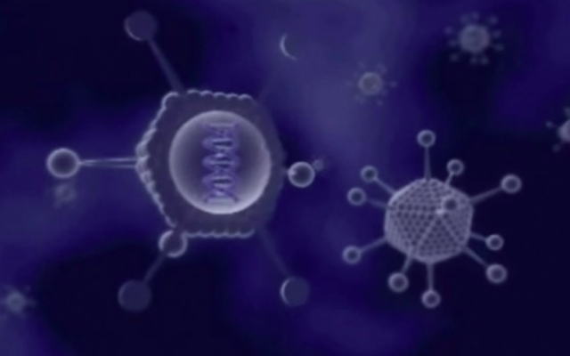 Le VBL-111 de Vascular Biogenics cible le glioblastome multiforme (Capture d'écran YouTube)