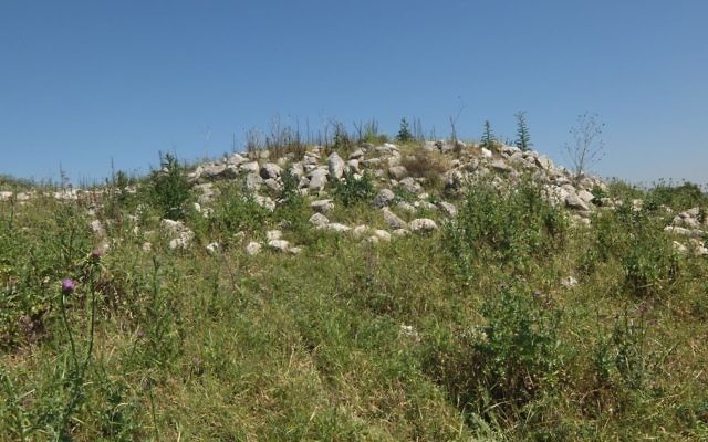 Les ruines du village arabe de Beit Nattif, dans une forêt du KKL. (Crédit : (Davidbena/CC BY-SA/Wikipedia) Les ruines du village arabe de Beit Nattif, dans une forêt du KKL. (Crédit : (Davidbena/CC BY-SA/Wikipedia)