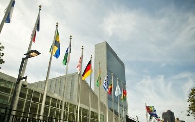 Drapeaux des états membres des Nations unies devant le siège de l'organisation à New York, le 25 septembre 2015. (Crédit : Michael Gottschalk/Photothek via Getty Images)